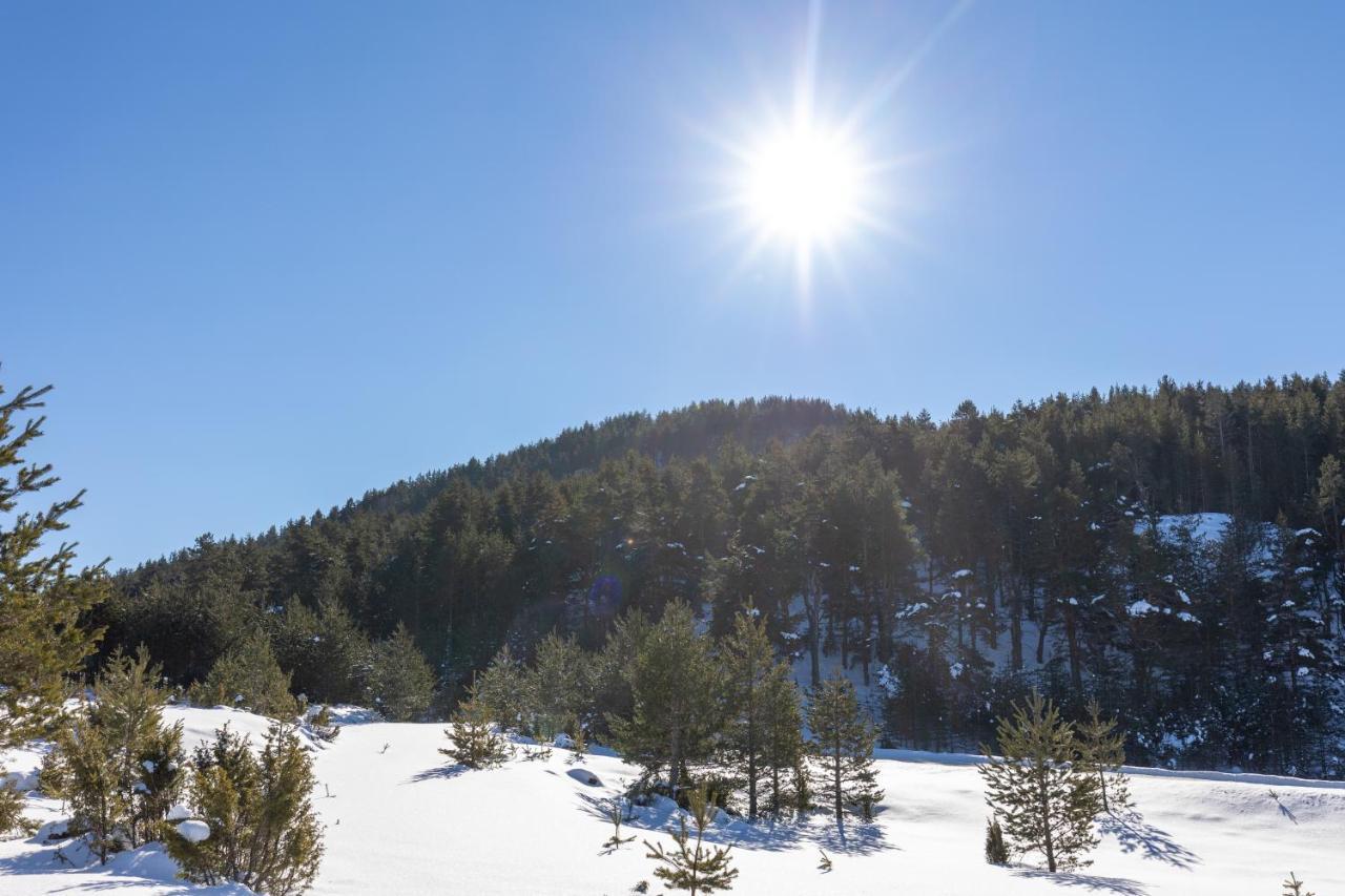 Vila Hanovi Zabljak Екстериор снимка
